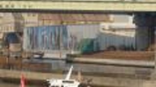 離れたところからも巨大さがわかります。