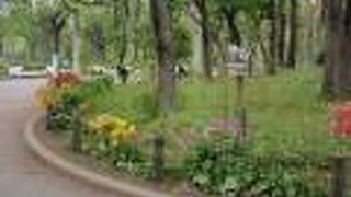 新宿散策(1)で新宿中央公園に寄りました