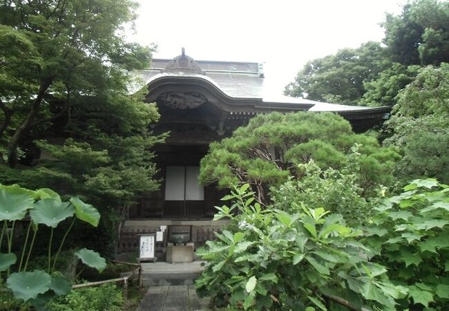 妙法寺 苔寺 クチコミ アクセス 営業時間 鎌倉 フォートラベル 妙法寺 苔寺 クチコミ アクセス 営業時間 鎌倉 フォートラベル