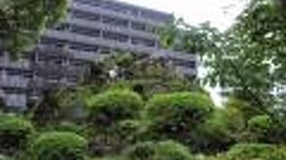  新宿散策(1)で成子天神社の富士塚に登りました