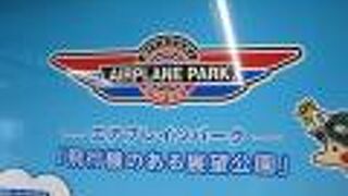 展望デッキに小さい飛行機が展示してあります。