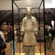 「兵馬俑と古代中国」を見学