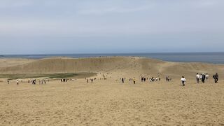 やっぱり、日本最大級の観光砂丘