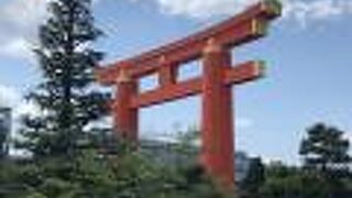 新緑の頃の岡崎公園