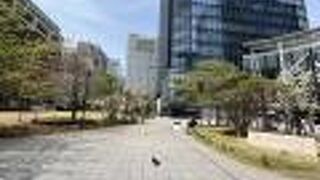 小学校跡地はワテラスとして再開発され、公園も生まれ変わりました