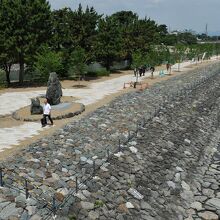 朝霧橋から見ると、こんな位置関係だ