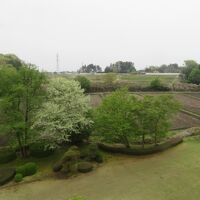 客室からの眺め