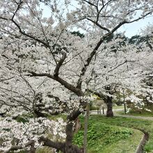 きみまち阪県立自然公園