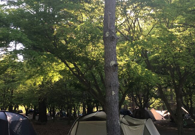 しだれ栗森林公園キャンプ場