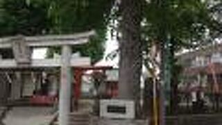 駅から少しくねくねした道を歩いて、たどり着くことができました。