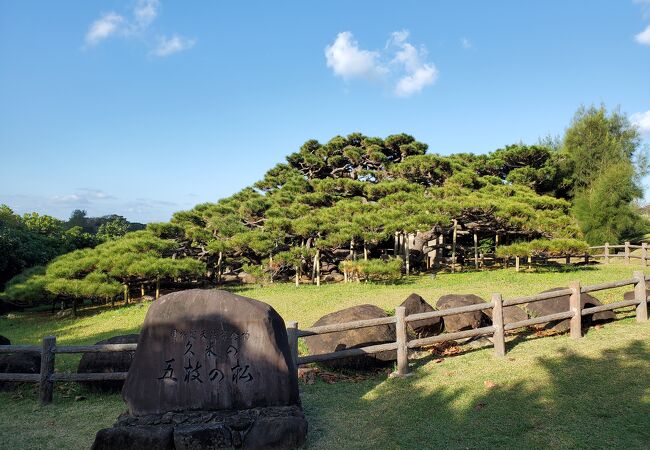 久米島に来たらまずここに