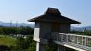 広大な淀川の河川敷