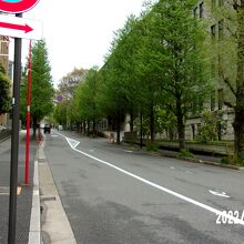 坂下からの景観です。