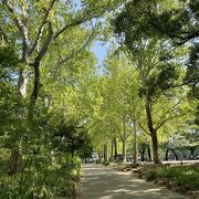 都立林試の森公園 目黒