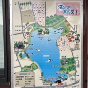 自然豊かな洗足池公園