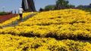 無料で多くの花が見れます