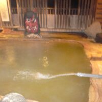 激しく噴き出す源泉