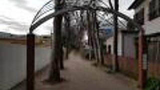 入口の看板にびびる