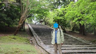 東大寺の猫段