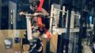 大人も子どもも楽しめる。