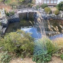 庭園の様子です。