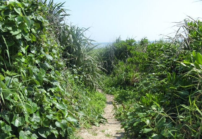 平敷屋公園