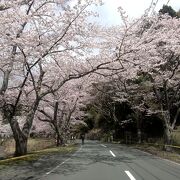 琵琶湖八景「暁霧・海津大崎の岩礁」としても知られる景勝地