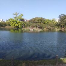 大きな池