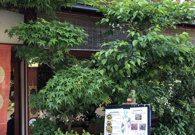 遅めのランチをいただきました