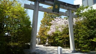 晴明の人気のほどがよくわかる