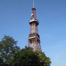 青空に映えます。