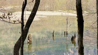 湖面が虹色にひかる