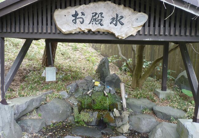 白神山地からの恵みの水