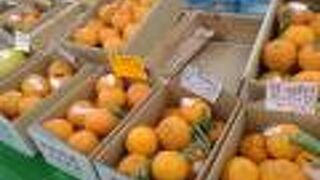 新鮮なフルーツを食べられる