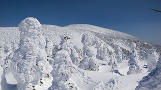 雪の西吾妻へスノーモンスターを見に行こう♪