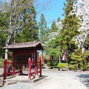 多くの鳥居が立ち並ぶ神社