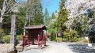 多くの鳥居が立ち並ぶ神社