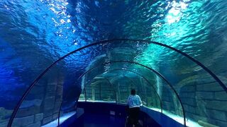 アンタルヤ水族館