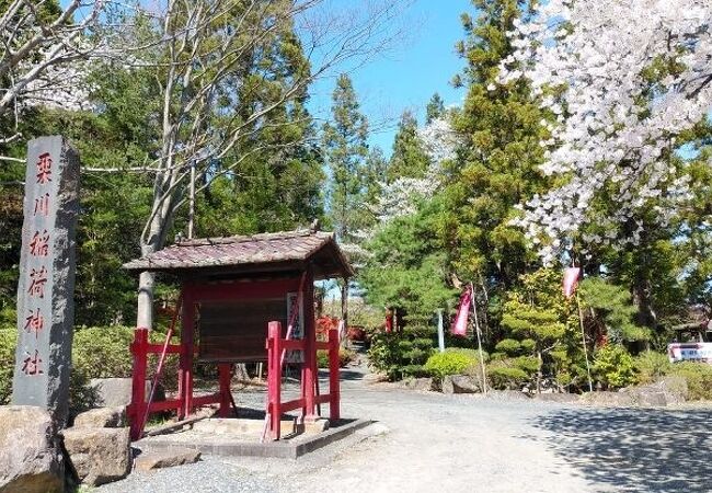 多くの鳥居が立ち並ぶ神社