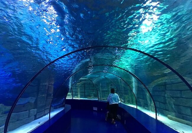 アンタルヤ水族館