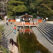 本殿横から糺の森を流れる御手洗川