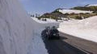 第20回志賀草津高原ルート雪の回廊ウォーキング～日本国道最高地点を歩こう～