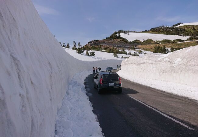 5mの雪の壁
