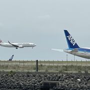 羽田空港B滑走路に着陸する飛行機がよく見える公園です。バスは渋滞で遅延しがちなので注意です！