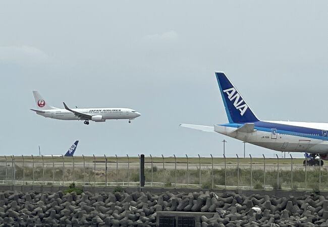 京浜島つばさ公園 クチコミ アクセス 営業時間 大森 大井町 フォートラベル