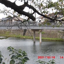 浅野川と中の橋