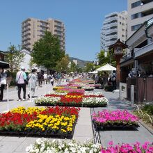 善光寺花回廊 ながの花フェスタ2024