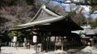 梅と白い鳥居がきれい