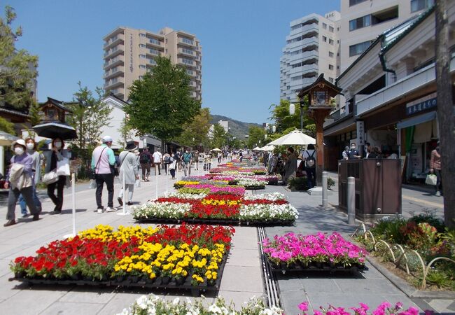 善光寺花回廊 ながの花フェスタ2024