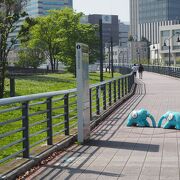 横浜を代表する観光スポットをまわる